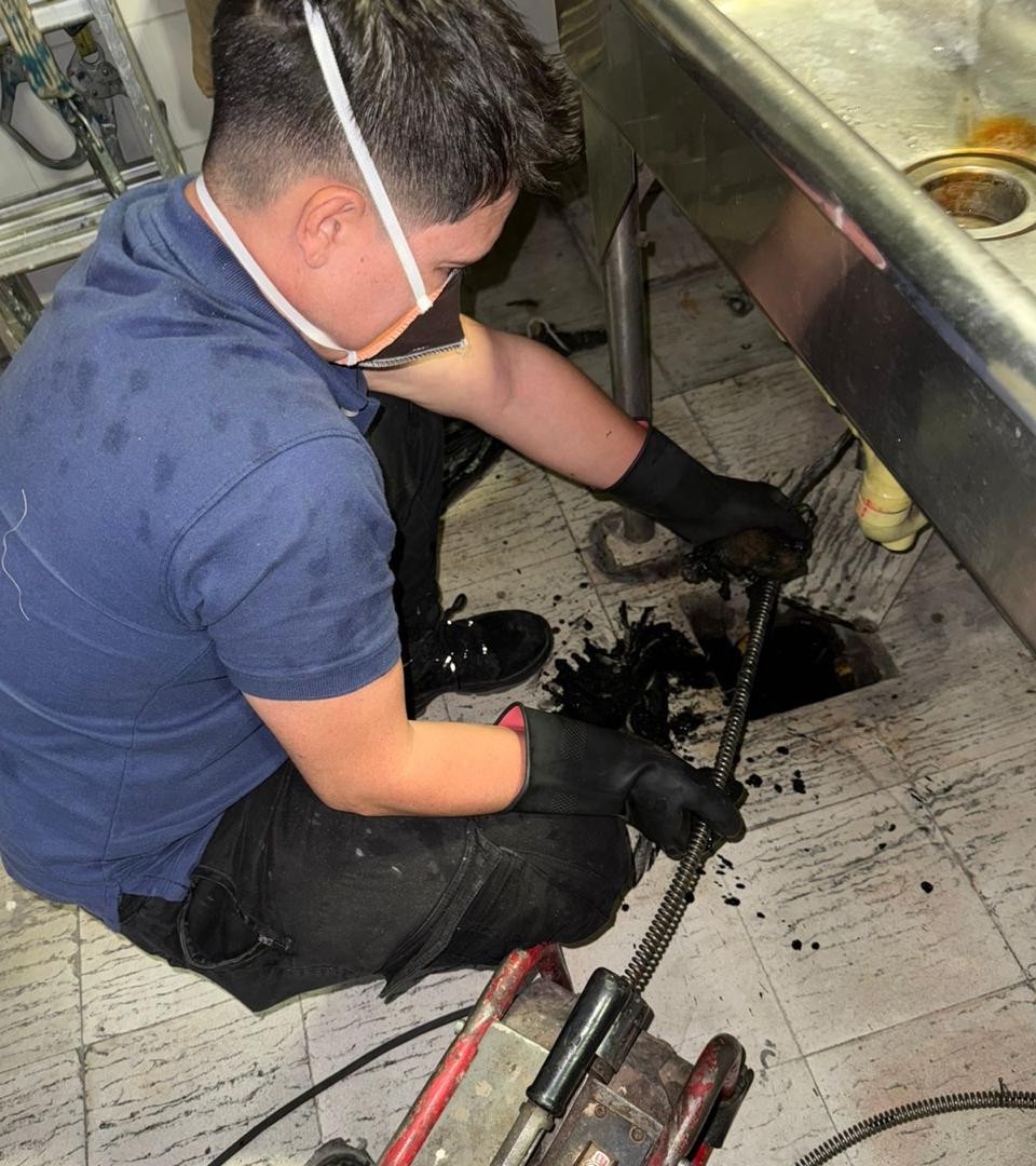 Destaqueo Lavaplatos