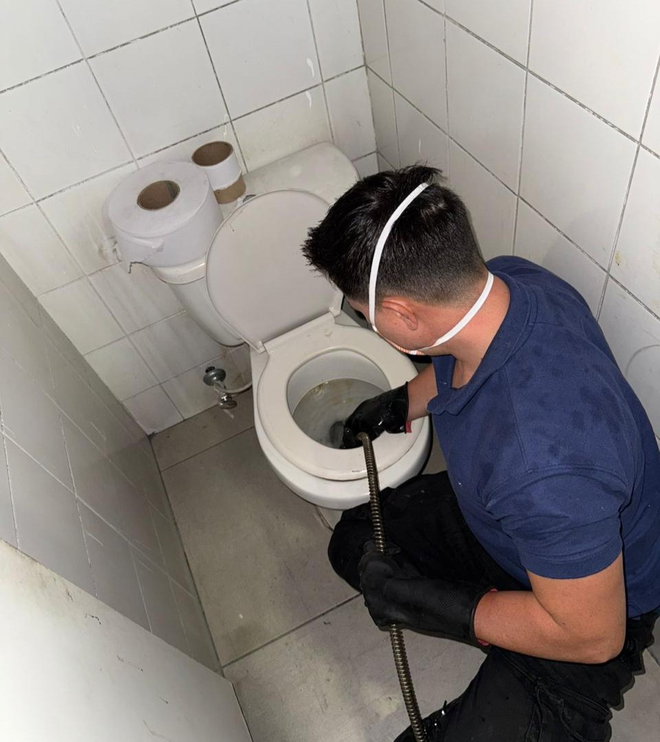 Destaqueo Sanitarios